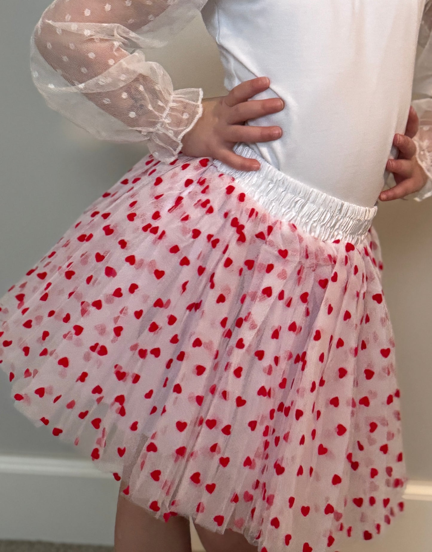 Red Velvet Heart Tutu